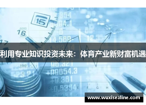 利用专业知识投资未来：体育产业新财富机遇